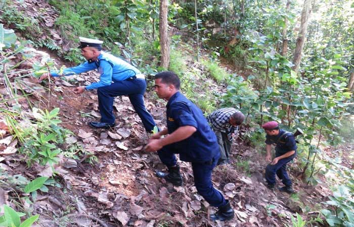 जंगलमा बनतरुल खोजेझैँ गोली खोज्दै प्रहरी