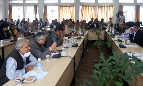 टेन्सन नलिन भीम रावललाइ प्रचण्डको आग्रह