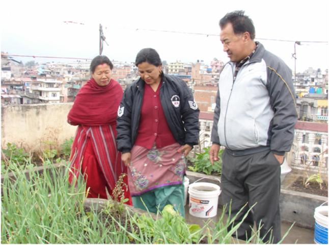 घरको छतमा तरकारी रोप्ने महिलालाई अन्तराष्ट्रिय पुरस्कार