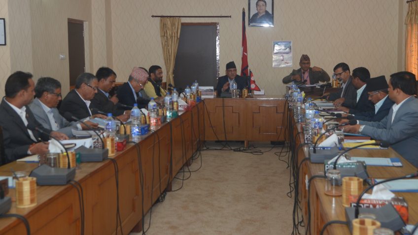 कामकुरो एकातिर कुम्लो बोकी ठिमीतिर भनेझैँ नेपालका राजनीतिक दल