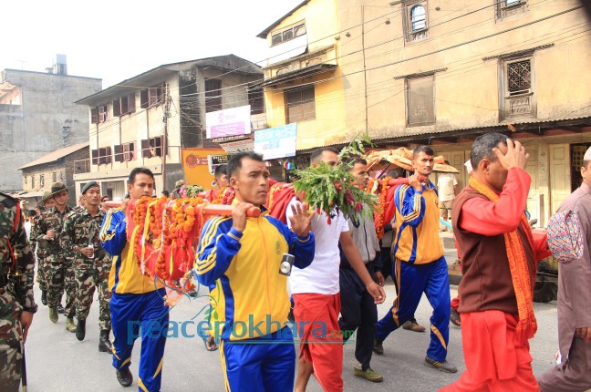 फुलपाती भित्र्याइयो,दशैँको टिकाको दिन नजिकिदै