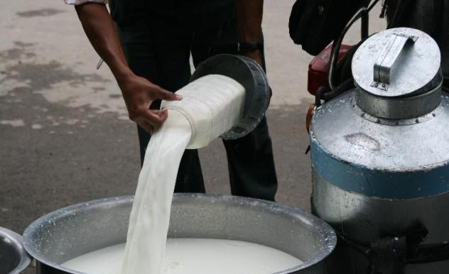 काभ्रेका युवा दुग्ध व्यवसायबाट आत्मनिर्भर बन्दै